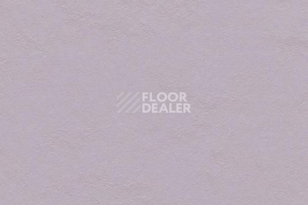 Виниловая плитка ПВХ Marmoleum Click 333363 lilac фото 1 | FLOORDEALER